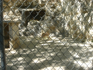 2006-04-08 14-54-00.JPG